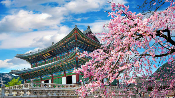 south korea esim