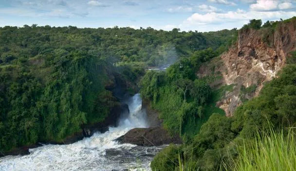 uganda-safari-esim